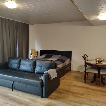 Spacieux Studio 38M2 Les Paccots Экстерьер фото