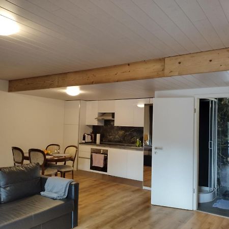 Spacieux Studio 38M2 Les Paccots Экстерьер фото