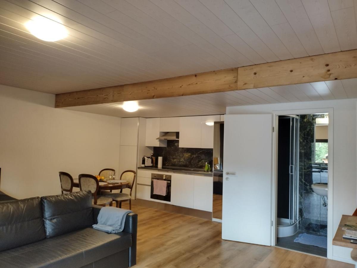 Spacieux Studio 38M2 Les Paccots Экстерьер фото